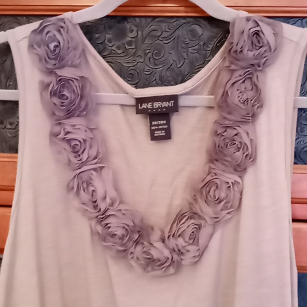Lane Bryant - Picture 1 of 7